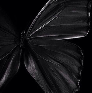 Meet your Posher, Sona